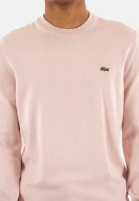 Pull en laine rose clair à col rond, en tissu texturé. Présente un petit logo brodé vert sur la poitrine gauche. Manches longues.