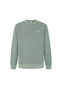 Mintgrön sweatshirt med ribbad rundad halsringning, långa ärmar och en liten vit logotyp. Tillverkad av mjukt tyg med en slät yta.