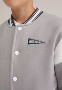 WE Fashion BLUE RIDGE - Bomber jakna - grey