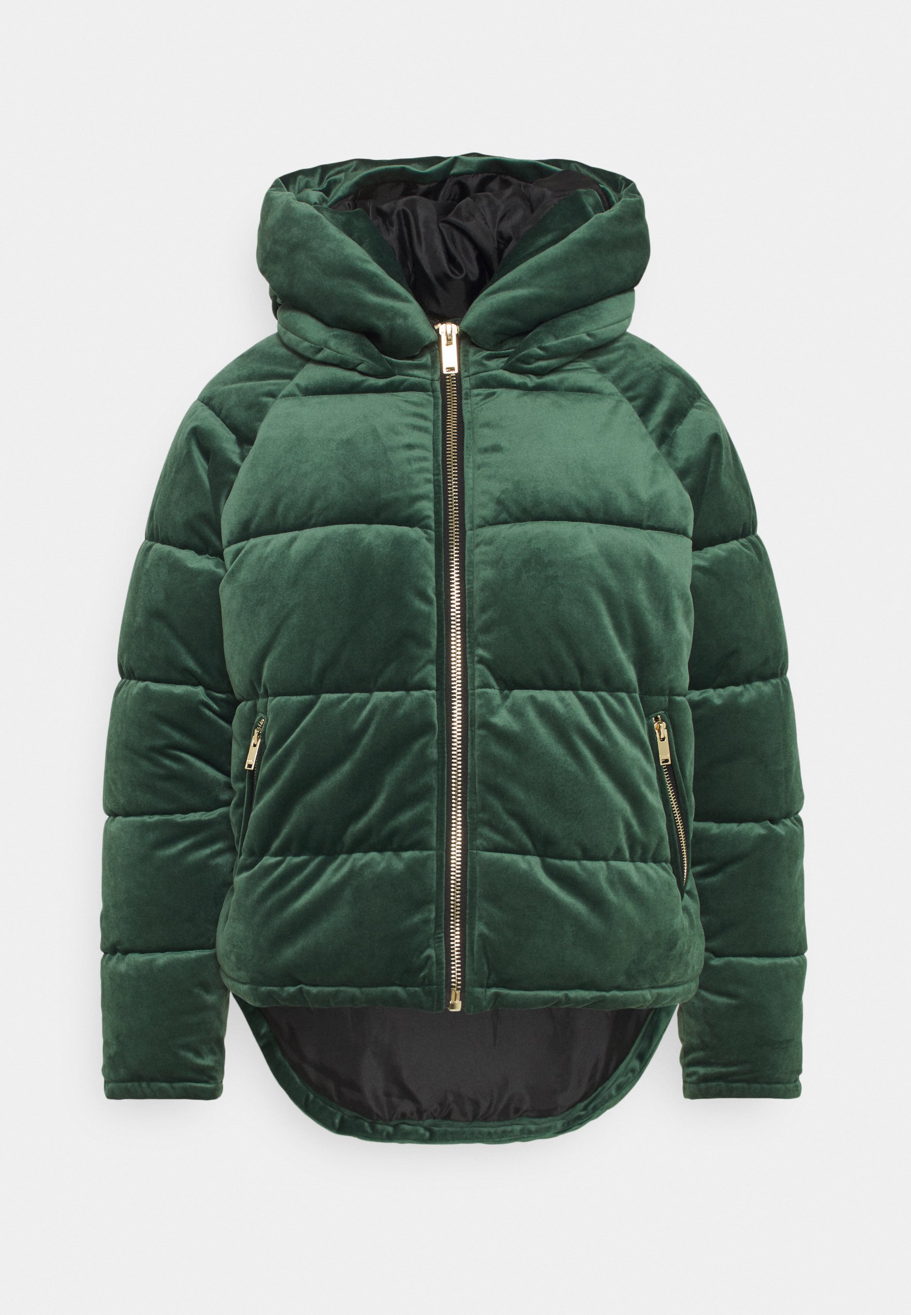 ONLNEW PAULA - Winter jacket - pine grove