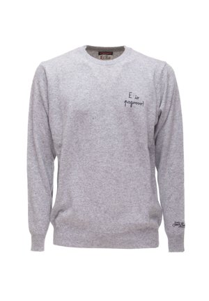 Felpa grigia in morbido tessuto, con colletto a girocollo, maniche lunghe e scritte ricamate sul petto e sulla manica. Design semplice.