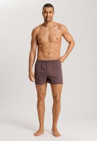 Hanro FANCY - Caleçon - dark wine stripe