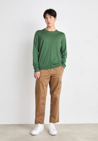 BOSS LENO-P - Džemperis - open green