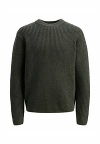 JORBLEECKER CREW NECK  - Pullover - forest river