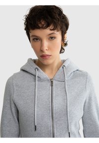 Big Star LAURISANA - Sweater met rits - grau