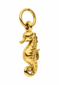 Gouden zeepaardje hanger met verfijnde details, spiraalvormige staart en een klein lusje voor bevestiging. Gladde, glanzende afwerking.