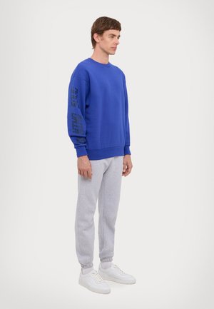 ORGANIC CREWNECK UNISEX - Huppari - bluing