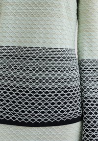Pull en tricot avec un motif texturé en vert clair et noir. Présente un design en losange avec des rayures horizontales contrastantes au bas.