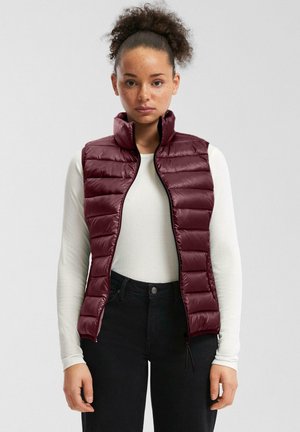OUTDOOR - Bodywarmer - bordeaux
