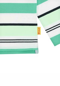 Camicia a maniche lunghe a righe verdi con bande alternate di verde chiaro e verde scuro, righe nere e una piccola etichetta gialla all'orlo.