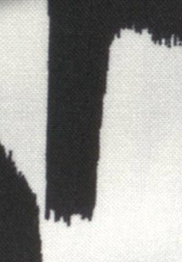 Abstraktní černobílá textilie s nepravidelnými tahy štětce. Povrch vypadá texturovaně s vzorem tkaniny.