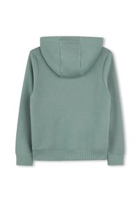 Sweat à capuche en tissu doux et léger de couleur verte. Comprend une poche kangourou et des poignets côtelés au niveau des manches et de l'ourlet. Texture lisse.