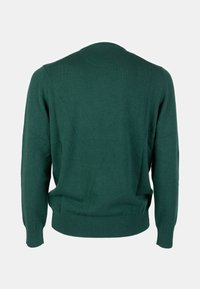 Maglione verde in lana, collo rotondo, maniche lunghe, polsini e orlo a costine. Tessuto morbido con finitura liscia, senza motivi o decorazioni visibili.
