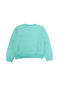 Felpa verde menta con scollatura rotonda, maniche lunghe e polsini a costine. Il tessuto è liscio e leggermente elasticizzato.