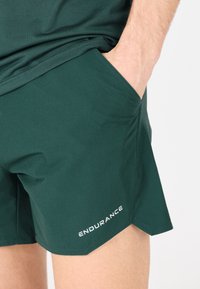 Grüne sportliche Shorts aus leichtem Material, mit einer Seitenasche, einem nahtlosen Saum und dem weißen "ENDURANCE"-Logo an der unteren linken Seite.