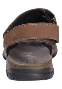 Waldläufer HARALD - Trekkingsandale - brown