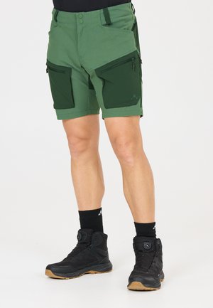 Männliche Beine, die grüne zweifarbige Cargo-Shorts mit Reißverschlusstaschen, schwarze knöchelhohe Wanderschuhe und schwarze Socken vor weißem Hintergrund tragen.