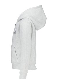 America Today SASCHA JR - Sweat zippé - light grey melange