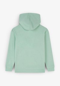 Felpa verde menta con una texture morbida, caratterizzata da un ampio cappuccio e maniche lunghe. Include polsini e orlo a costine per una vestibilità aderente.