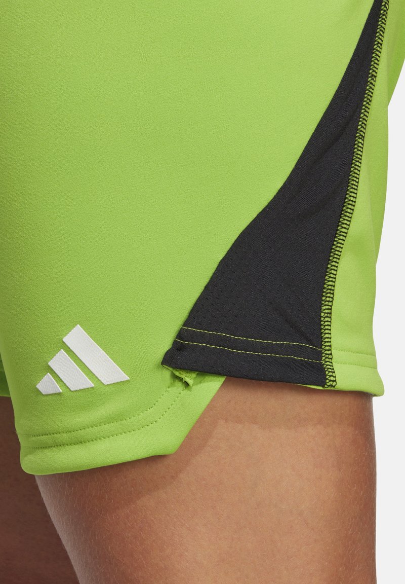 adidas Performance FUSSBALL  TEAMSPORT - Kurze Sporthose - gruenschwarz