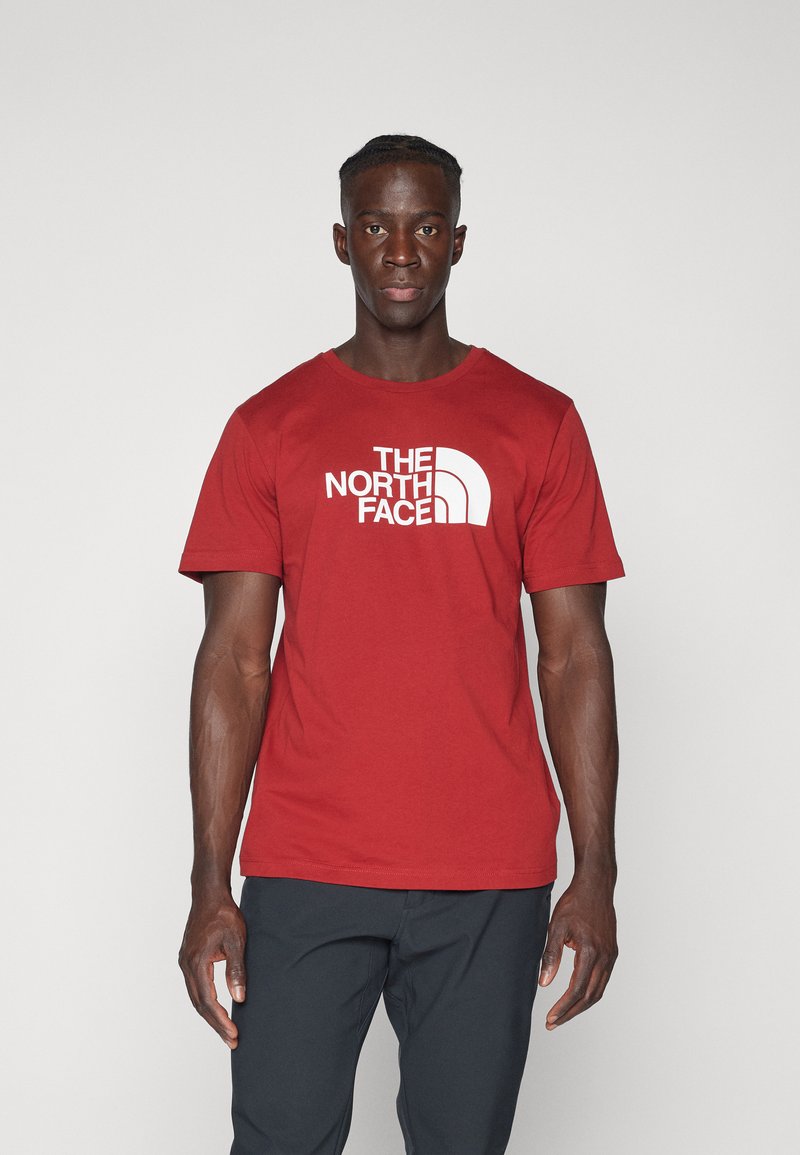 The North Face EASY TEE - Camiseta estampada - iron red