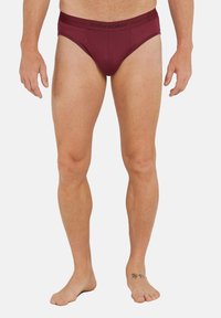 icebreaker ANATOMICA - Slip - port