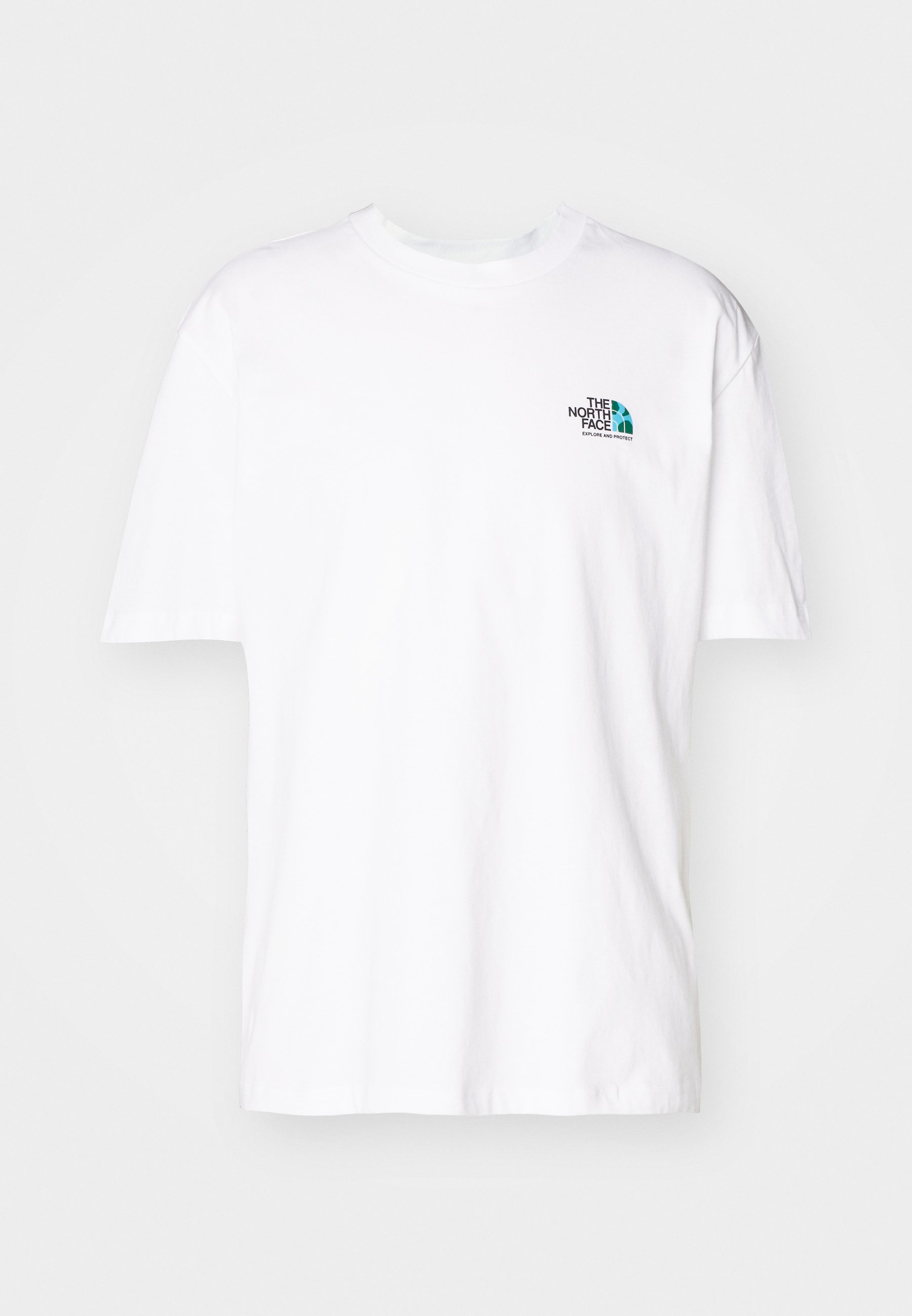 The North Face EARTH DOME TEE OVERSIZED - Print T-shirt
