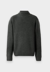 JORBLEECKER ROLL NECK - Jumper - forest river