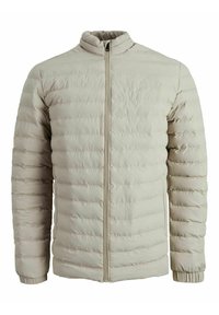 Jack & Jones PREMIUM Allvädersjacka - beige