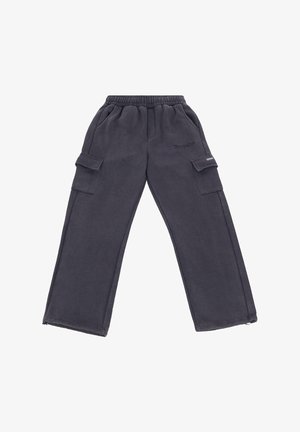 Pantaloni cargo gri închis cu talie elastică, buzunare laterale și o textură moale. Prezintă cusături vizibile și un logo pe o parte.