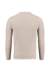 Beige Langarm-Strickoberteil mit gerippter Textur, rundem Ausschnitt und ohne sichtbare Hardware oder Akzente auf der Rückseite.
