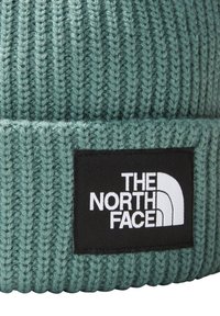 The North Face SALTY LINED BEANIE - Beanie - dark green