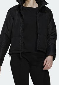 adidas Performance Chaqueta de invierno - black