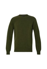 Pull vert olive en tissu tricoté, avec un col rond et des poignets et un ourlet côtelés. Design minimaliste sans motifs visibles.