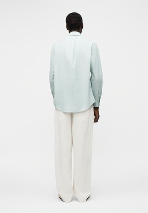 Isik lühikeste lokkis juustega, seljaga vaataja poole, seljas helesinine pikkade varrukatega särk ja laiad valged püksid, taust on ühtlane.