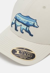 Columbia LOST LAGER™ 110 SNAP BACK UNISEX - Cap - dark stone