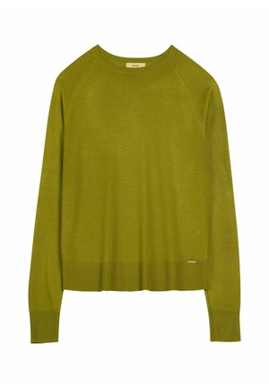 Długi sweter z dzianiny w oliwkowym kolorze, z prążkowanymi mankietami i krawędzią, okrągłym dekoltem oraz małą metalową metką marki blisko dolnej krawędzi.