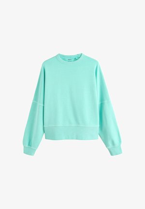 Mint green sweatshirt made of soft fabric, featuring a round neckline, long sleeves, and a ribbed hem with a loose fit.