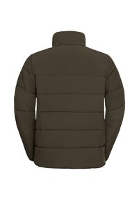 Olijfgroene pufferjack, met een hoge kraag, horizontale quiltstructuur en elastische zomen. Achteraanzicht toont een glad materiaal zonder versieringen.