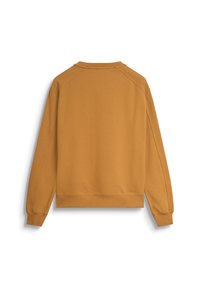 Felpa marrone con un design a manica raglan, dotata di scollatura rotonda e polsini a coste. Realizzata in materiale morbido, senza motivi o dettagli visibili.