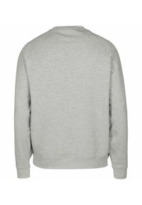 Hall lõdvestusrõivas klassikalise ümarkaeluse, raglaanvarrukate ja soonikkoes mansettide ning äärega, mis on valmistatud pehmest, tekstuuriga kangast.