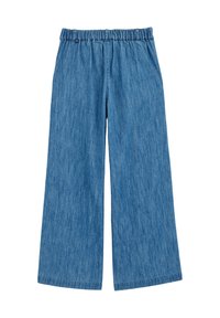 WE Fashion BLUE RIDGE - Laza szabású farmerek - blue