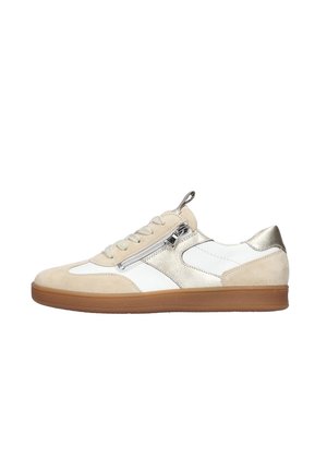 H-DAISY - Sneakers laag - sabbia weiss gold