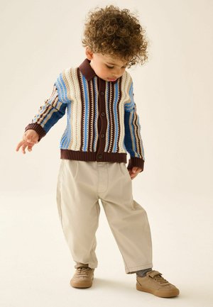 Next, REGULAR FIT - BUTTON THROUGH KNITTED POLO SHIRT - Kardigán - blue brown