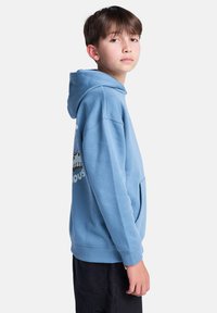 Blå hoodie med en framficka och ribbade ärmar, med en grafisk design på framsidan. Mjukt tyg med en avslappnad passform.