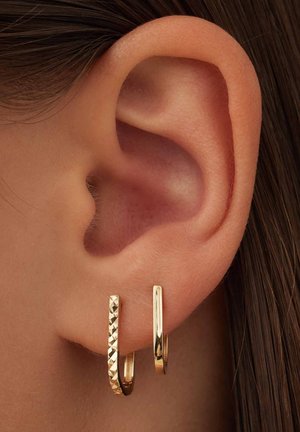 Earrings - gold