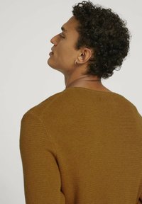 TOM TAILOR DENIM Strickpullover - cognac brown melange