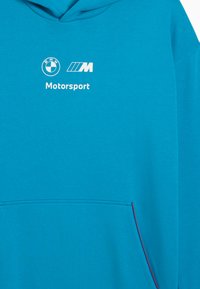 Mėlynas džemperis su kapišonu. Puošia baltas "BMW Motorsport" logotipas ir raudona akcentuojanti detalė ant kišenės. Pagamintas iš minkštos, tekstūruotos medžiagos.