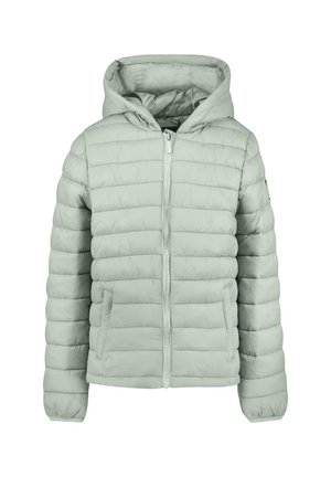 JAS THELMA - Winterjacke - moss