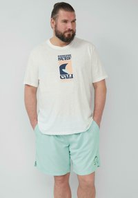 Lichtgrijze T-shirt met een grafische print in blauw, perzik en wit. Mintgroene zwembroek met logo detail aan de voorkant, relaxed fit.